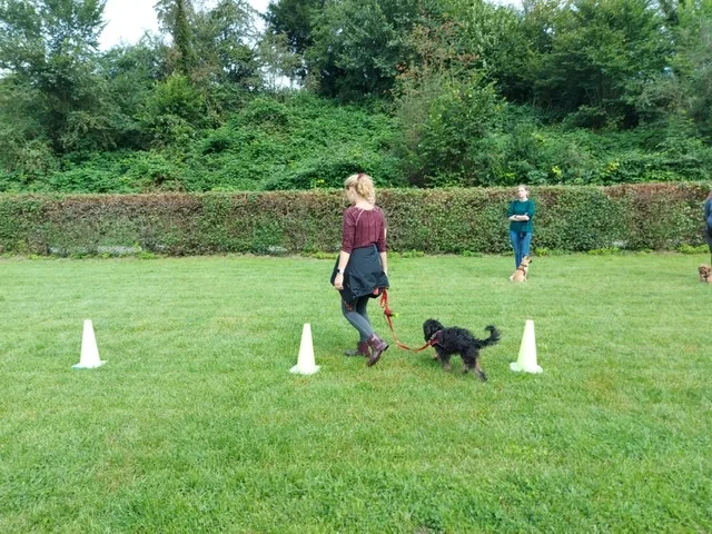 Tako Bello - Rund um den Hund - Dusseldorf pet otel görseli 2