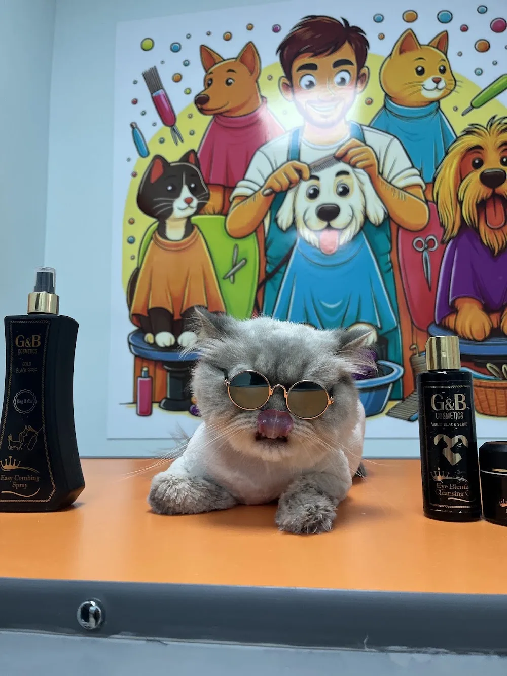 DÜZCE PET KUAFÖRÜ&PETSHOP&PET OTELİ - Düzce pet otel görseli 3