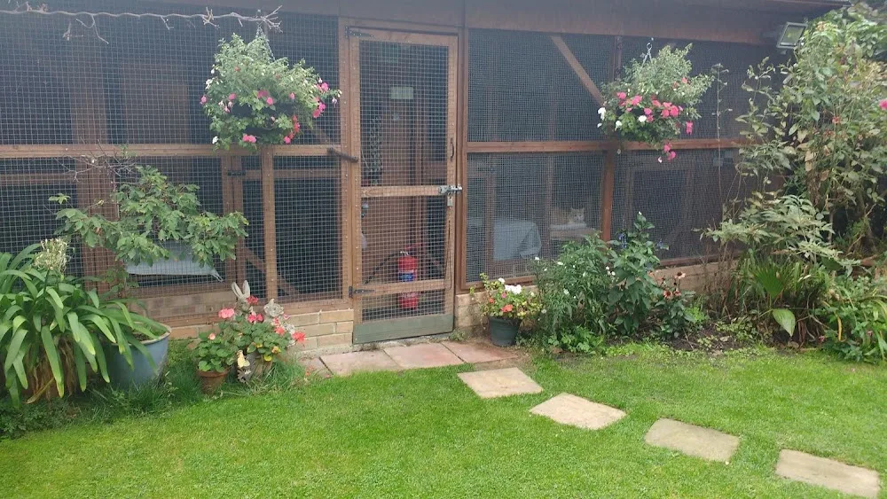 Creature Comforts Cattery - Ealing pet otel görseli 2