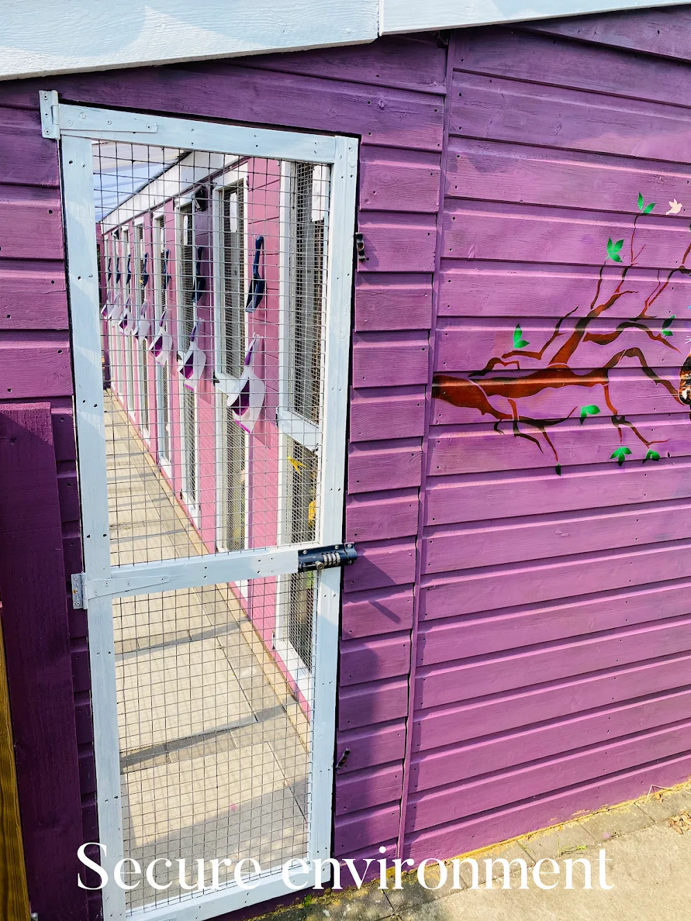 Haleswood Pet Hotel - Ealing pet otel görseli 3
