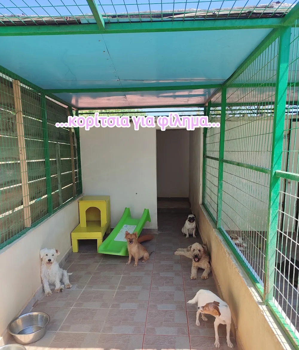 Animal's camp - East Attica pet otel