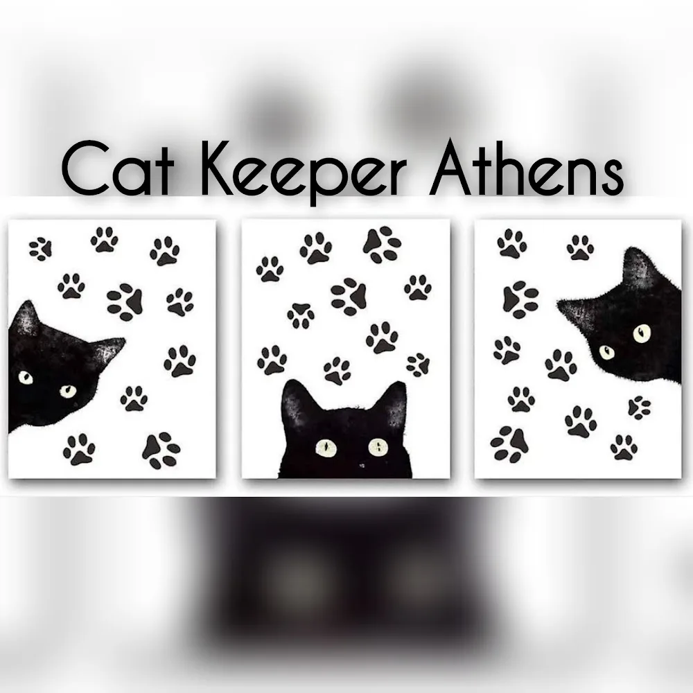 Cat Keeper Athens - East Attica pet otel görseli 2