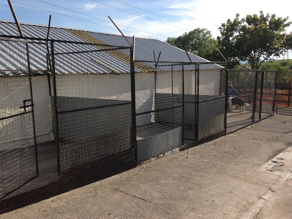 Ardoch Kennels - East Dunbartonshire pet otel