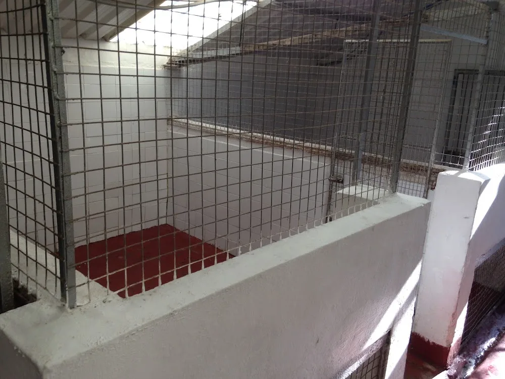 Ardoch Kennels - East Dunbartonshire pet otel görseli 3