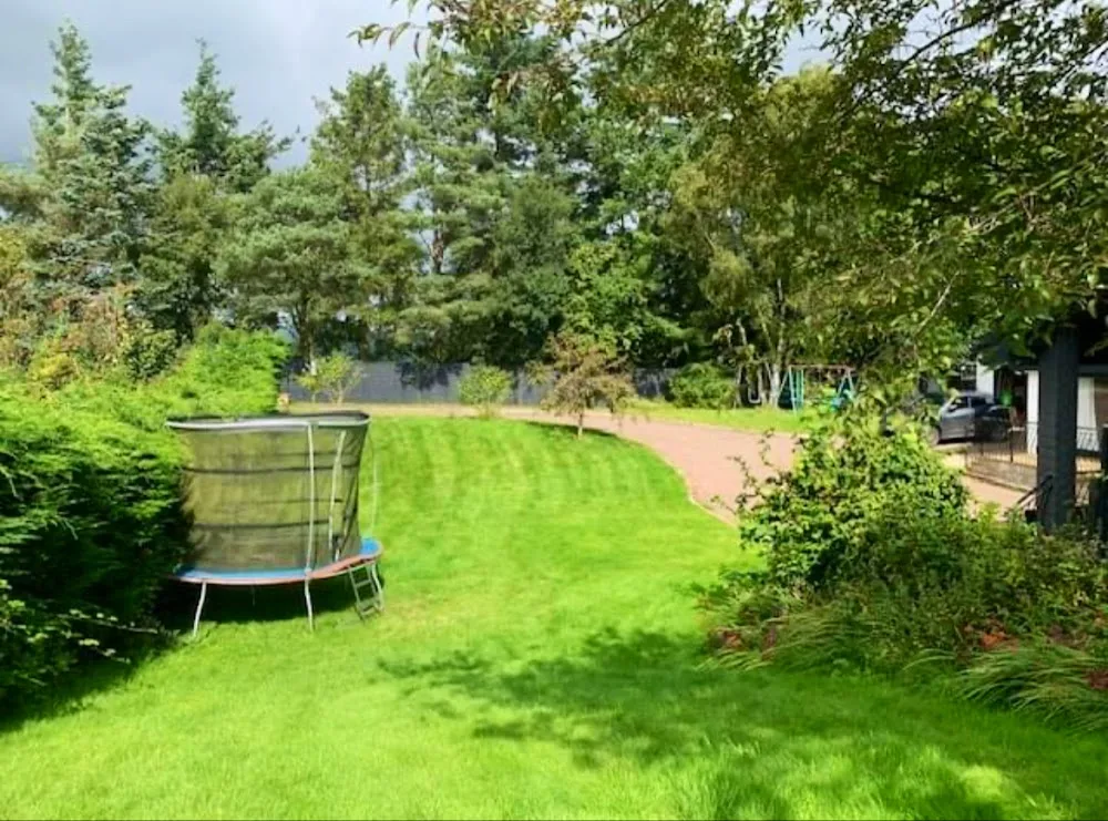 Craigcrest VIP Doggy Boarding - East Dunbartonshire pet otel görseli 3