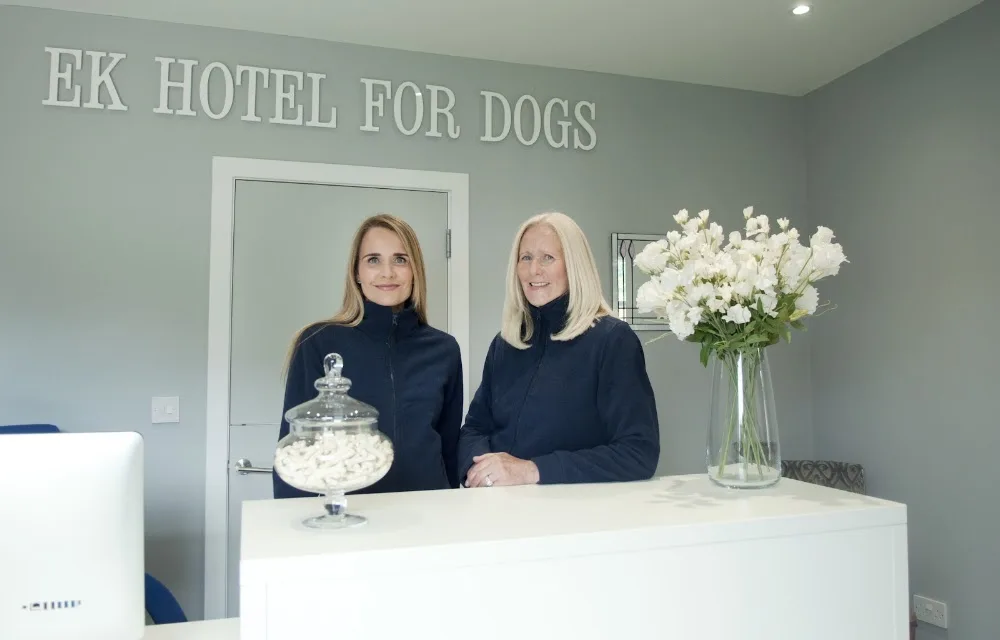 EK Hotel For Dogs - East Dunbartonshire pet otel