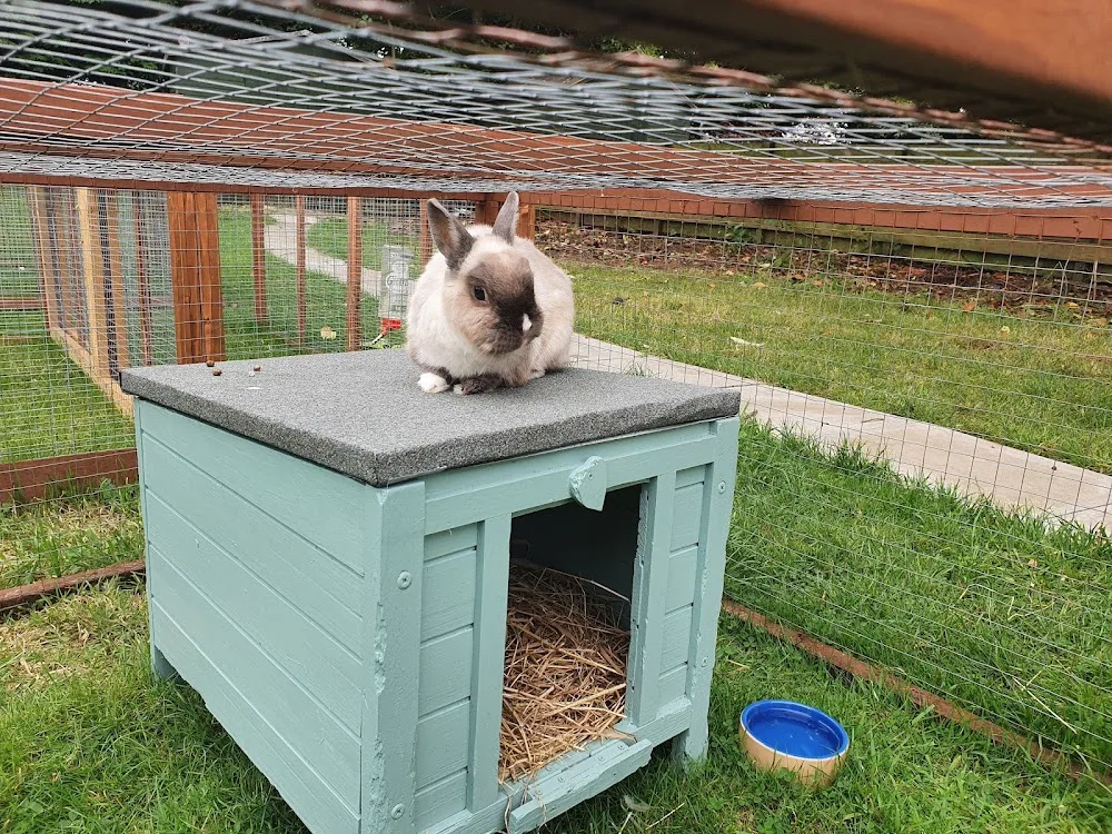 Furry Friends Hotel Rabbit & Small Animal Boarding . - East Dunbartonshire pet otel görseli 3