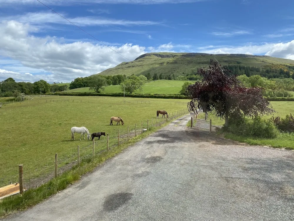 Provanston Dog Boarding & Cat Hotel - East Dunbartonshire pet otel