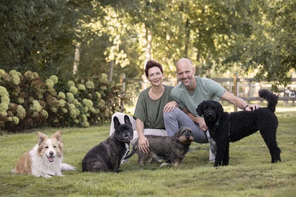 Barn Dogs - East Flanders pet otel
