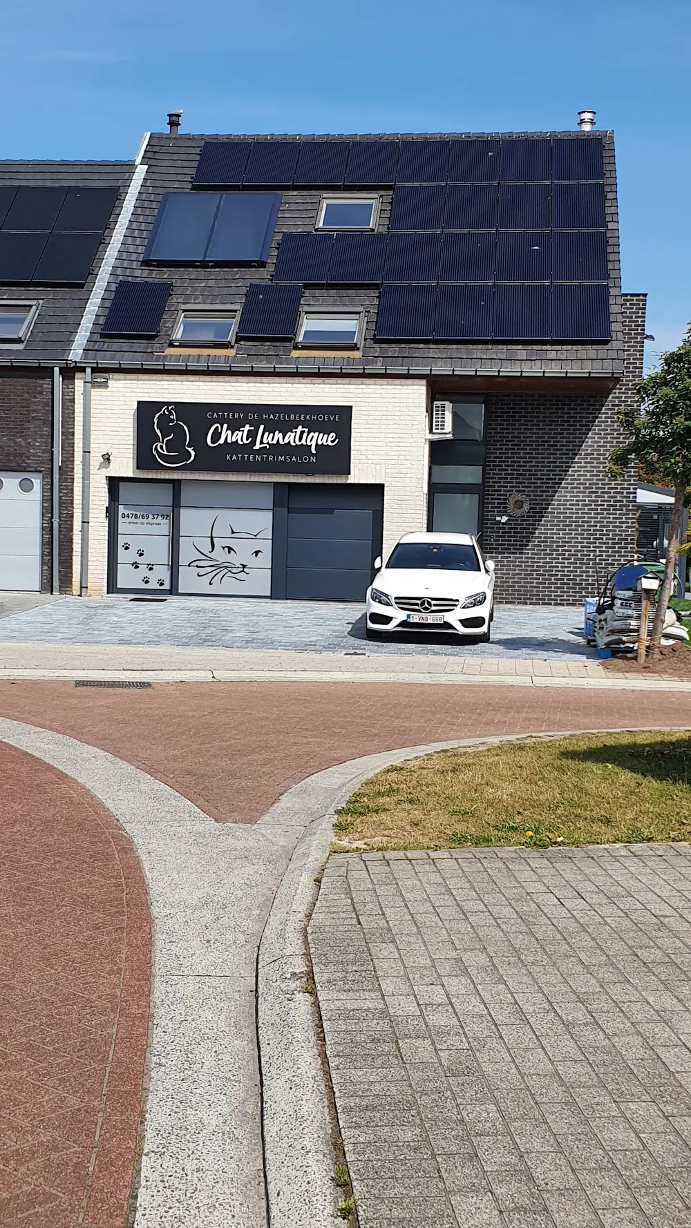 Chat Lunatique - East Flanders pet otel