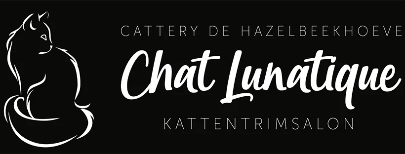 Chat Lunatique - East Flanders pet otel görseli 3