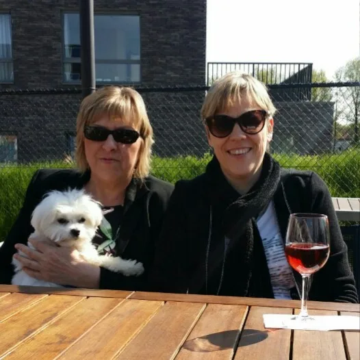 Kattenhotel Eiland Sajo - East Flanders pet otel görseli 4