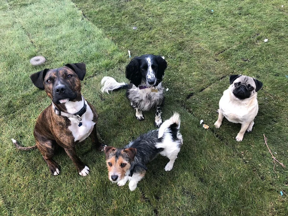 Barking Boarding - East Lothian pet otel