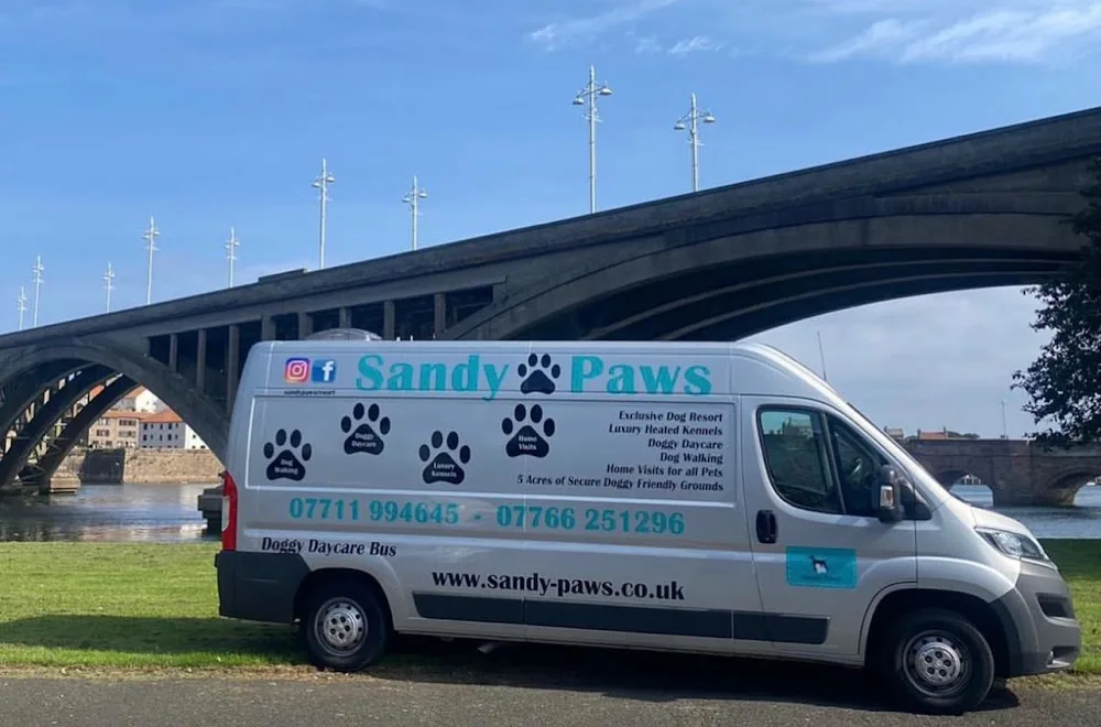 Sandy Paws - East Lothian pet otel