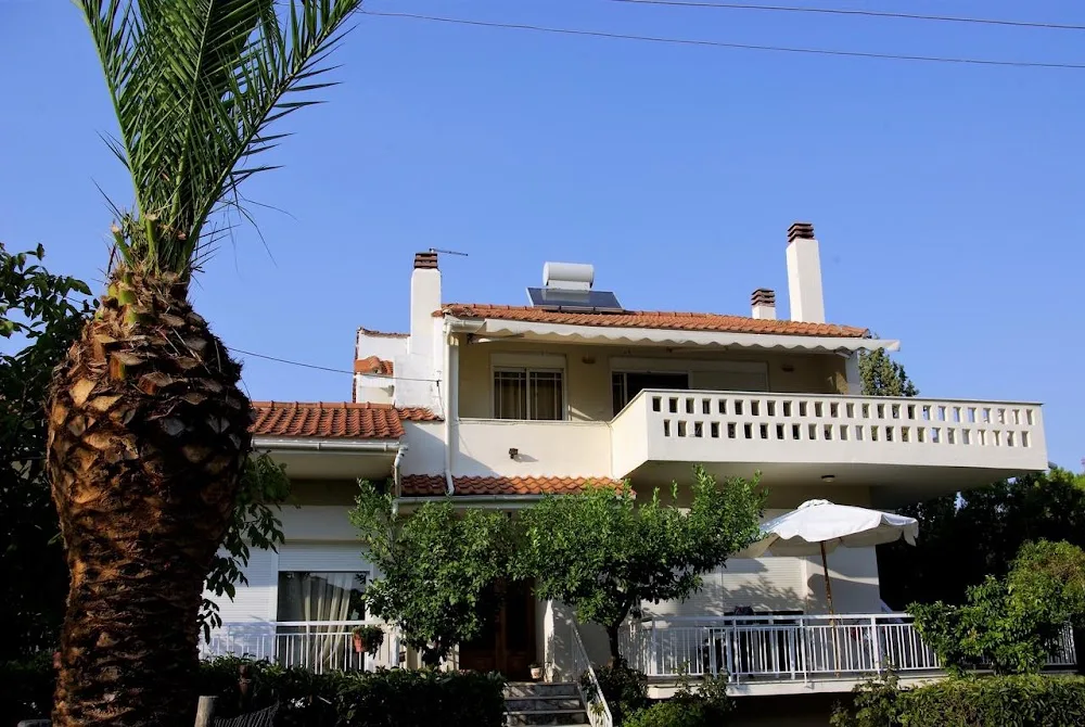 Lazy Cat Houses - East Macedonia and Thrace pet otel