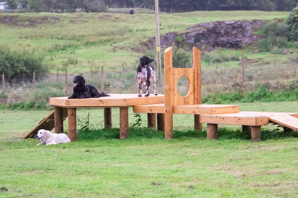 Bonnyton Farm Dog Run - East Renfrewshire pet otel