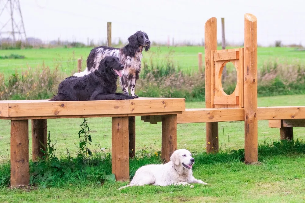 Bonnyton Farm Doggy Daycare & Kennels - East Renfrewshire pet otel görseli 3