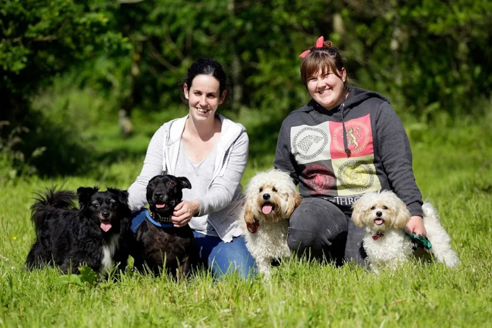 North Glassock Boarding Kennels & Cattery - East Renfrewshire pet otel görseli 3
