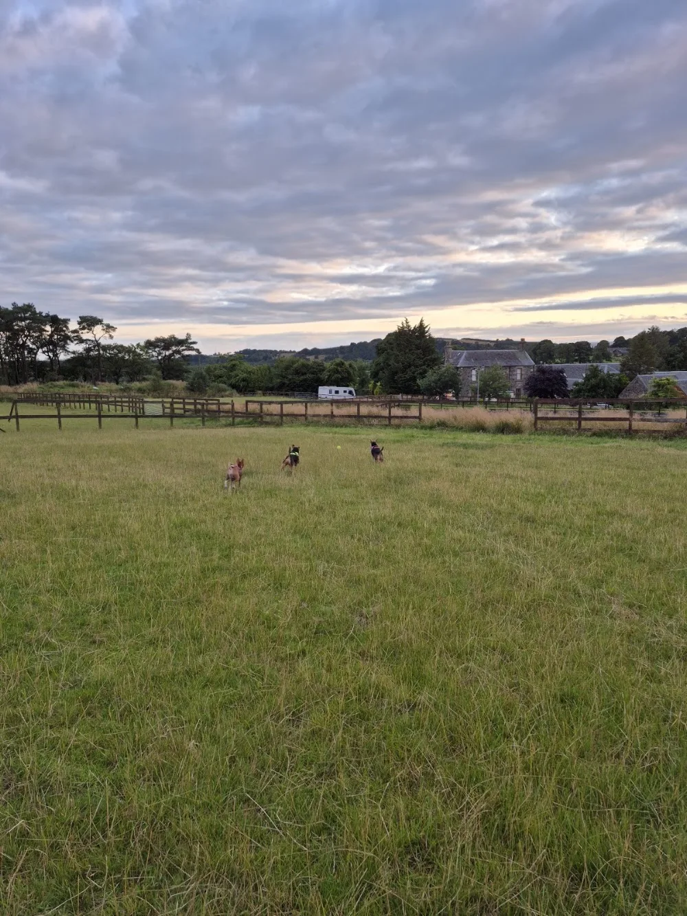Sproulstoun Luxury Kennels - East Renfrewshire pet otel görseli 3