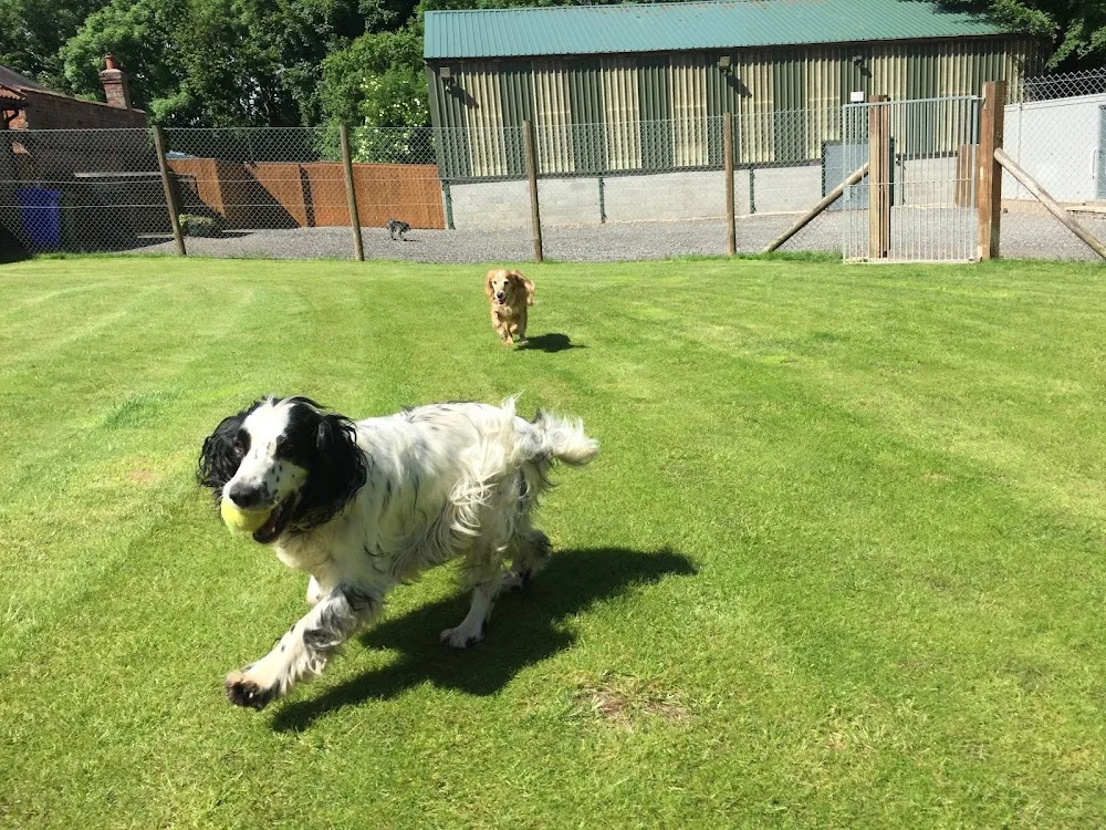 Cowlam Dog Kennels - East Riding of Yorkshire pet otel görseli 3