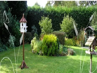 Evergreen Cattery - East Riding of Yorkshire pet otel