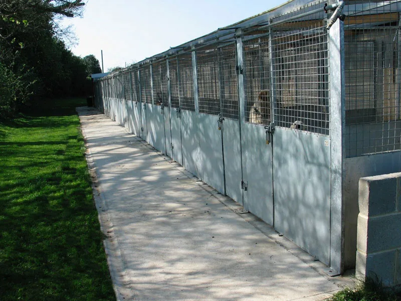Lodge Farm Boarding Kennels - East Riding of Yorkshire pet otel