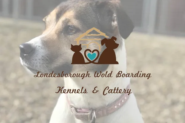 Londesborough Wold Boarding Kennels & Cattery - East Riding of Yorkshire pet otel görseli 2