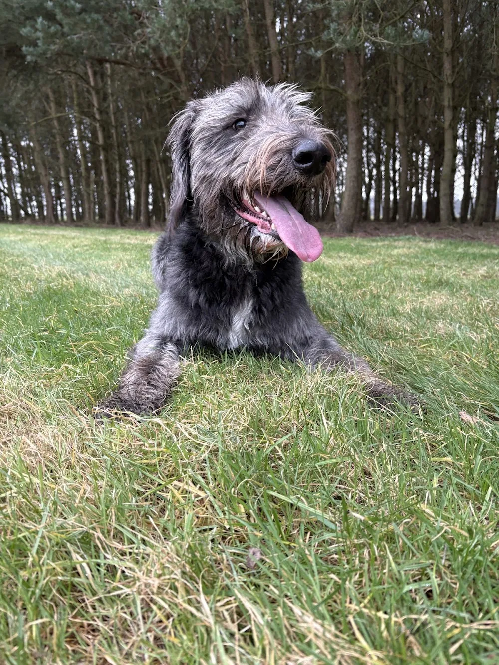 Peekaboo Boarding - East Riding of Yorkshire pet otel