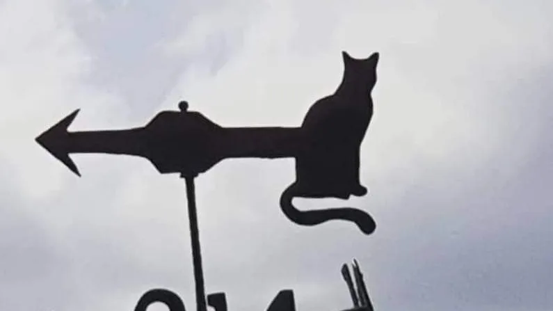 Penrose Farm Cattery - East Riding of Yorkshire pet otel
