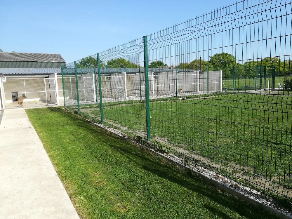 Storwood Kennels - East Riding of Yorkshire pet otel görseli 3