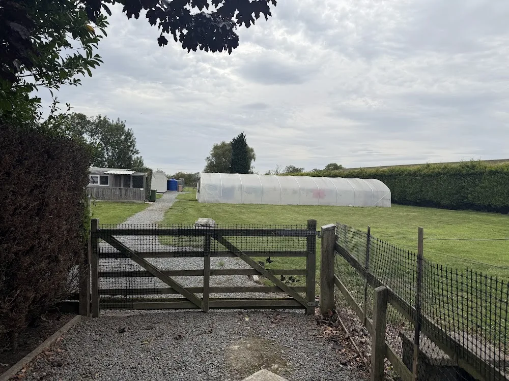 The Oaks Nurseries Kennels and Cattery - East Riding of Yorkshire pet otel görseli 3