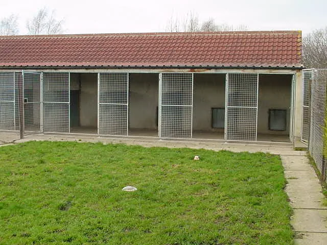 THREE ACRES BOARDING KENNELS & CATTERY - East Riding of Yorkshire pet otel görseli 3