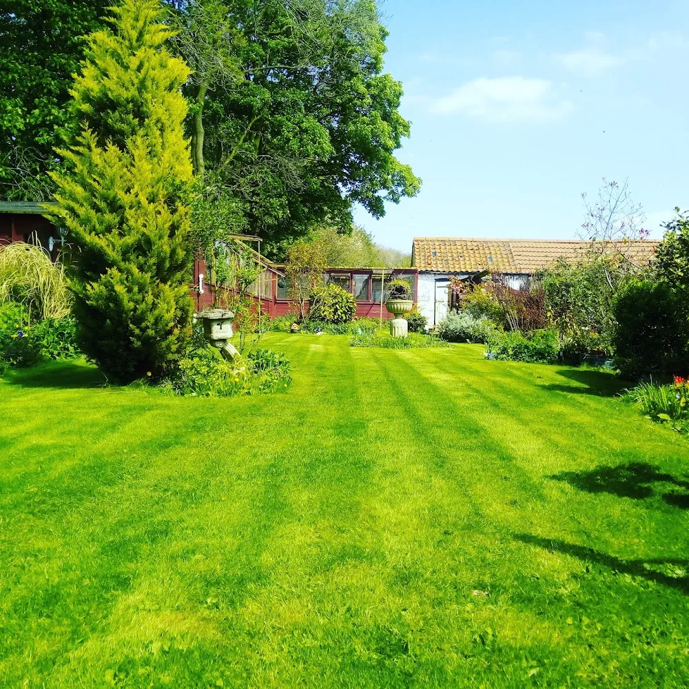Woodside Cattery - East Riding of Yorkshire pet otel