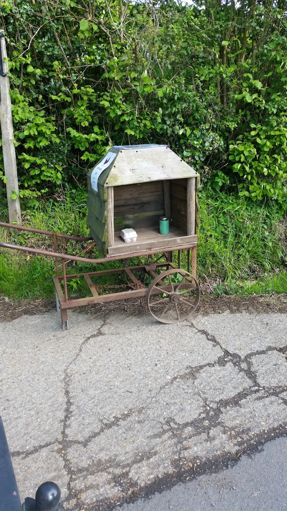 Flitterbrook Animal Care - East Sussex pet otel görseli 3