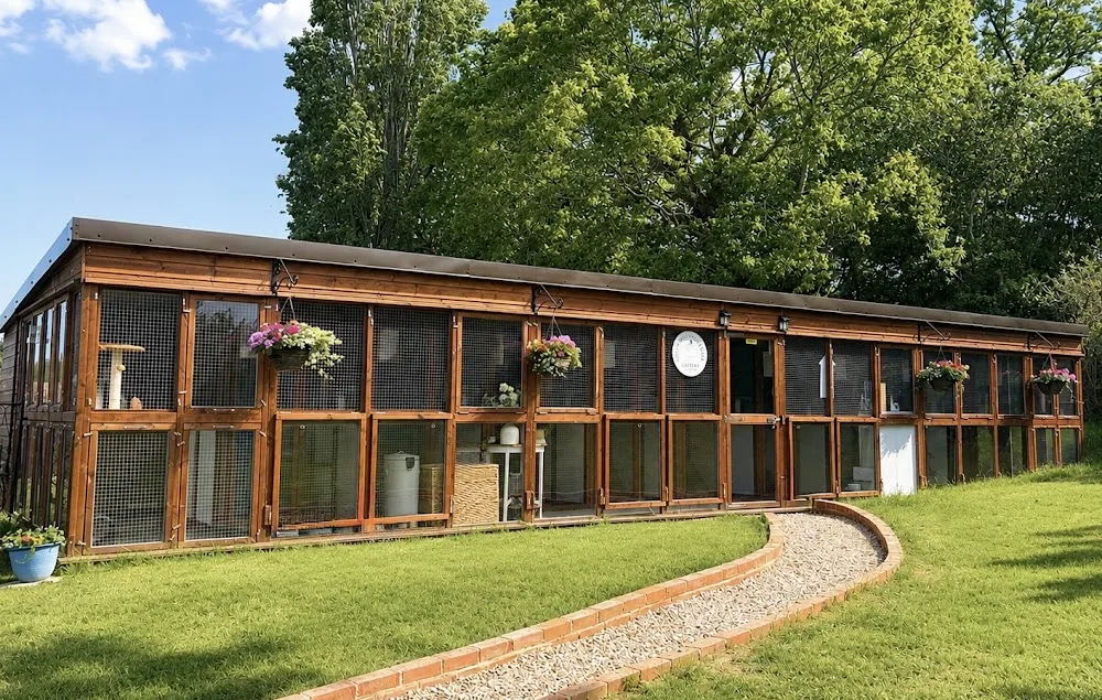 Haysden Country Cattery - East Sussex pet otel