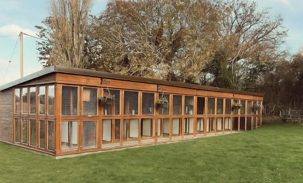 Haysden Country Cattery - East Sussex pet otel görseli 3