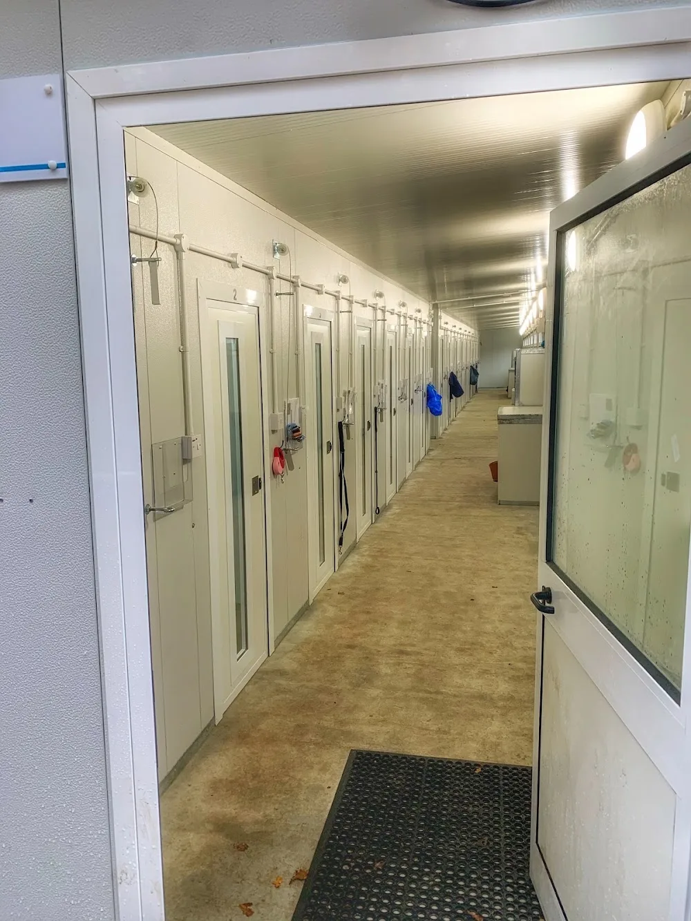 Linden Lodge Kennels & Cattery - East Sussex pet otel
