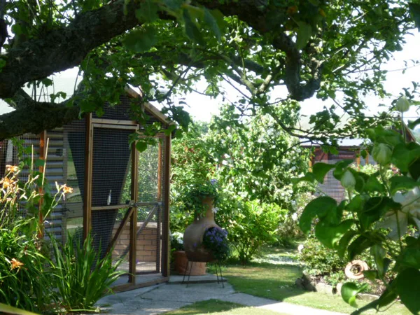 Marshfoot Cattery - East Sussex pet otel