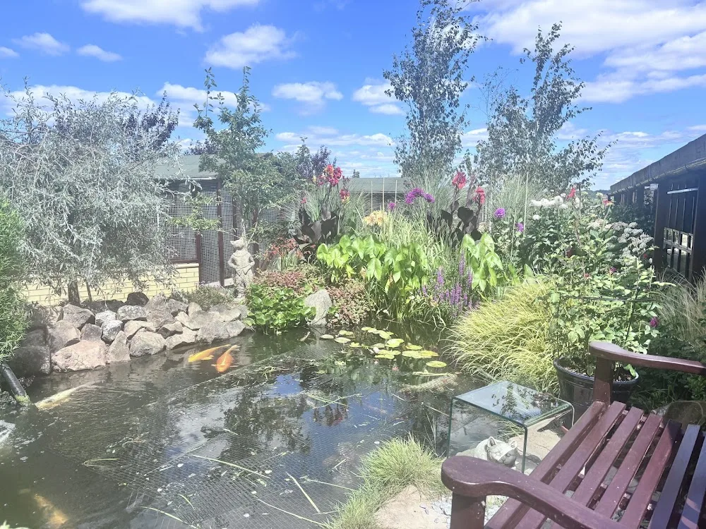 Marshfoot Cattery - East Sussex pet otel görseli 3