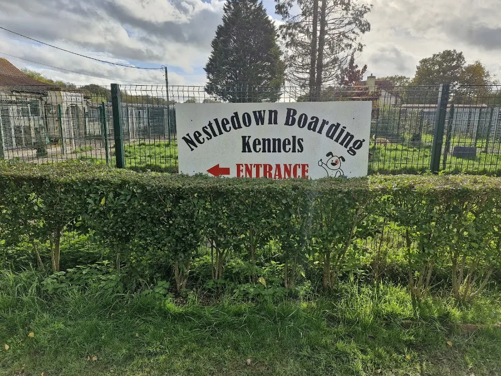 Nestledown Boarding Kennels - East Sussex pet otel