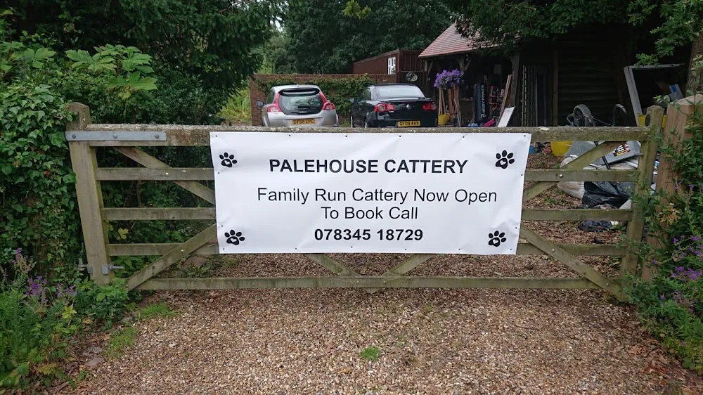 Palehouse Cattery - East Sussex pet otel görseli 3