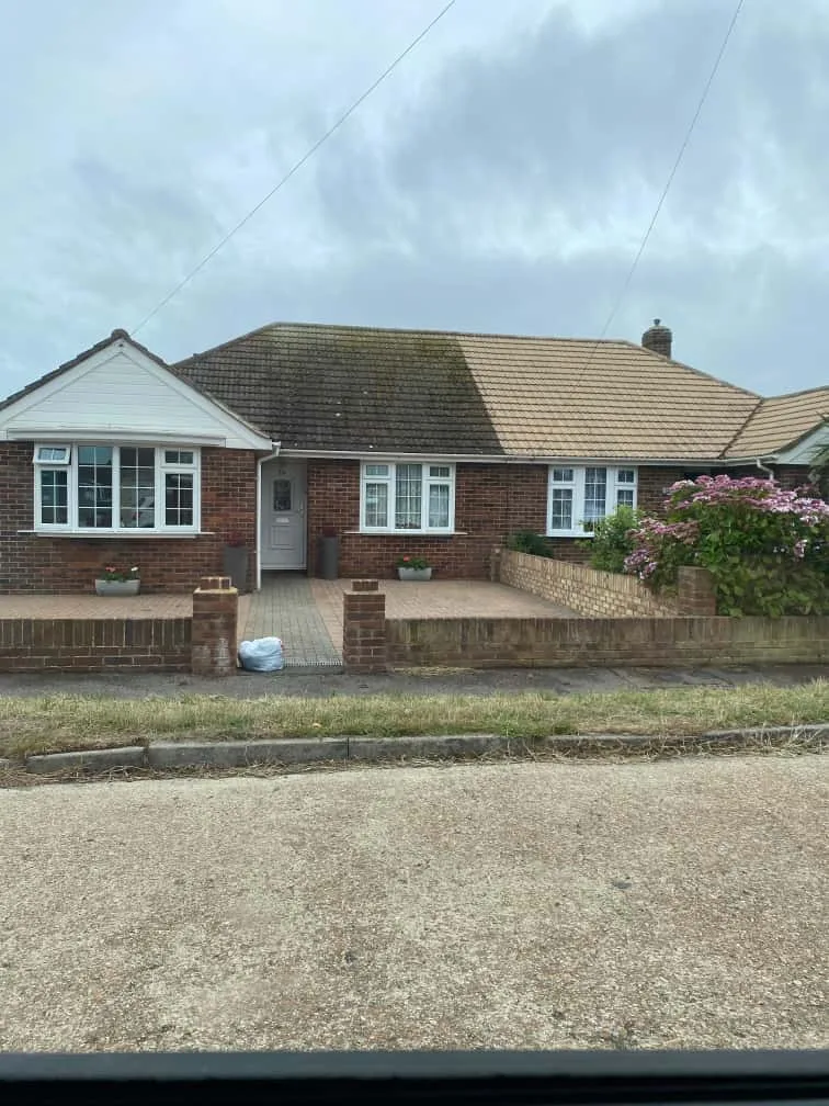 Seaview Dog Training and Boarding - East Sussex pet otel görseli 3