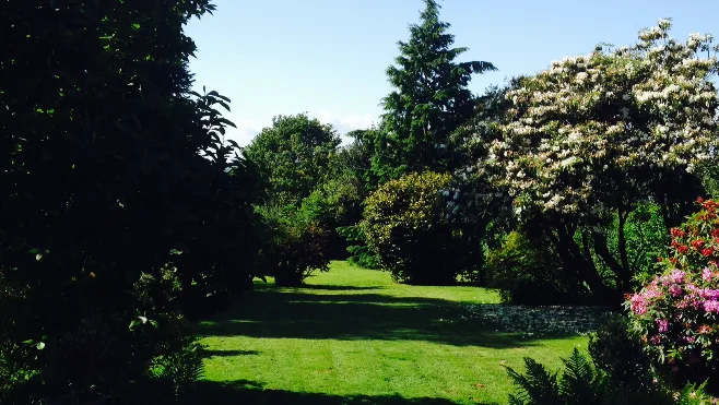 Tickerage Doggy Hotel - East Sussex pet otel görseli 2