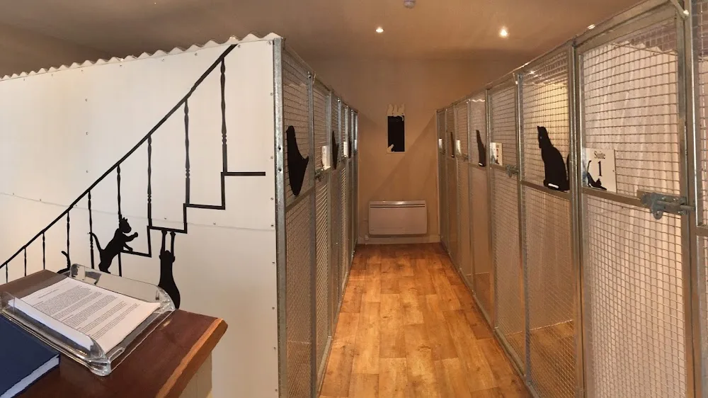 WHISTLEWOOD CATTERY - 5 STAR RATED LICENCE - East Sussex pet otel