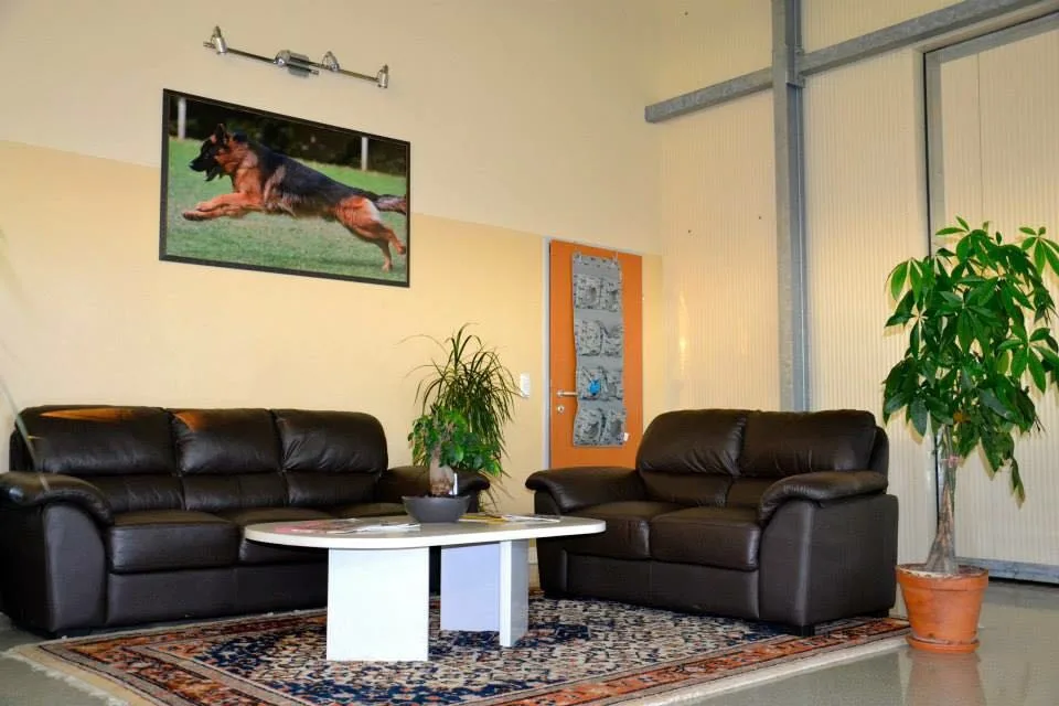 Hundetrainings- & Betreuungszentrum Hödl - Ebersdorf pet otel görseli 3