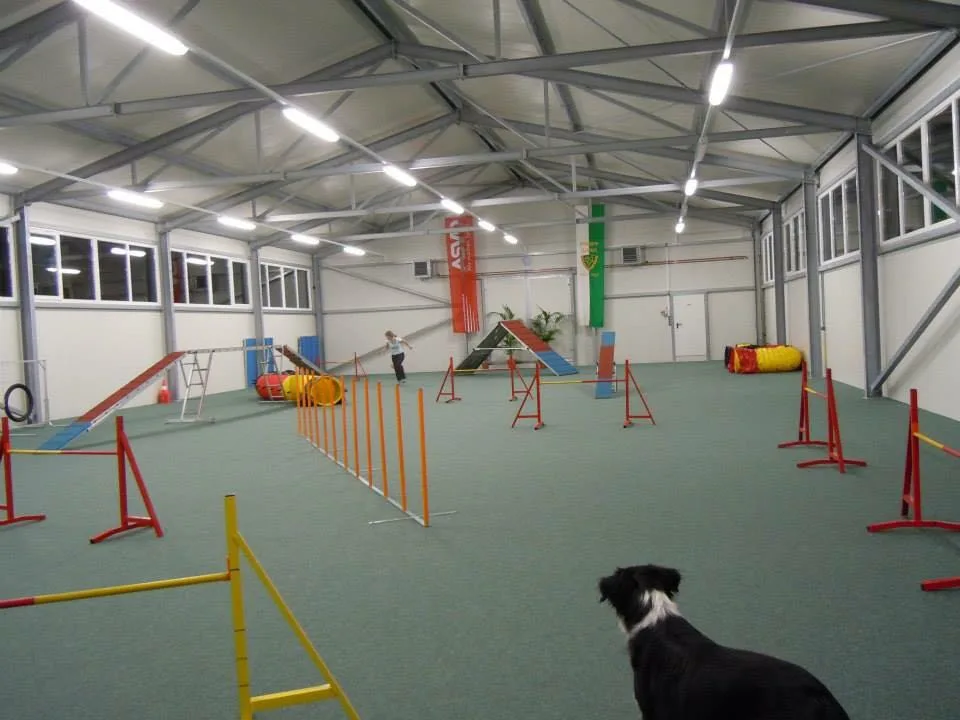 Hundetrainings- & Betreuungszentrum Hödl - Ebersdorf pet otel görseli 6