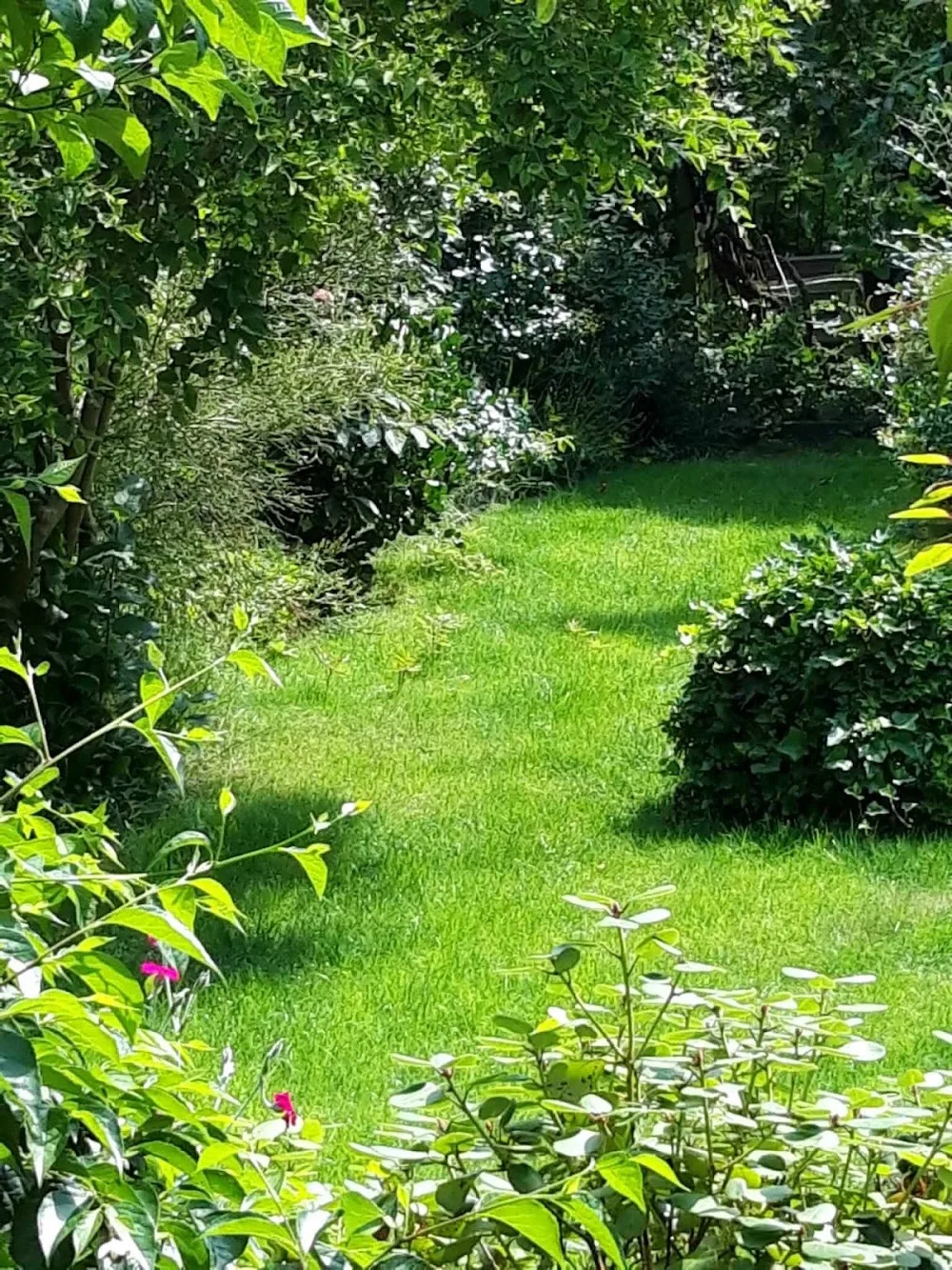 Hundepension am Bornholdsberg - Eckernförde pet otel görseli 6