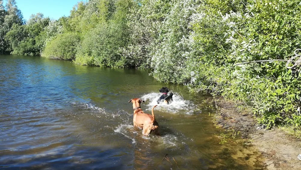 Hundepension Lottorf - Eckernförde pet otel görseli 3
