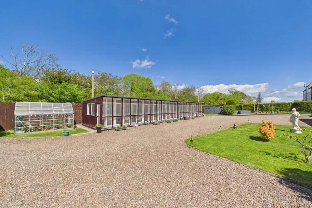 Balnaclash Cattery - Edinburgh pet otel