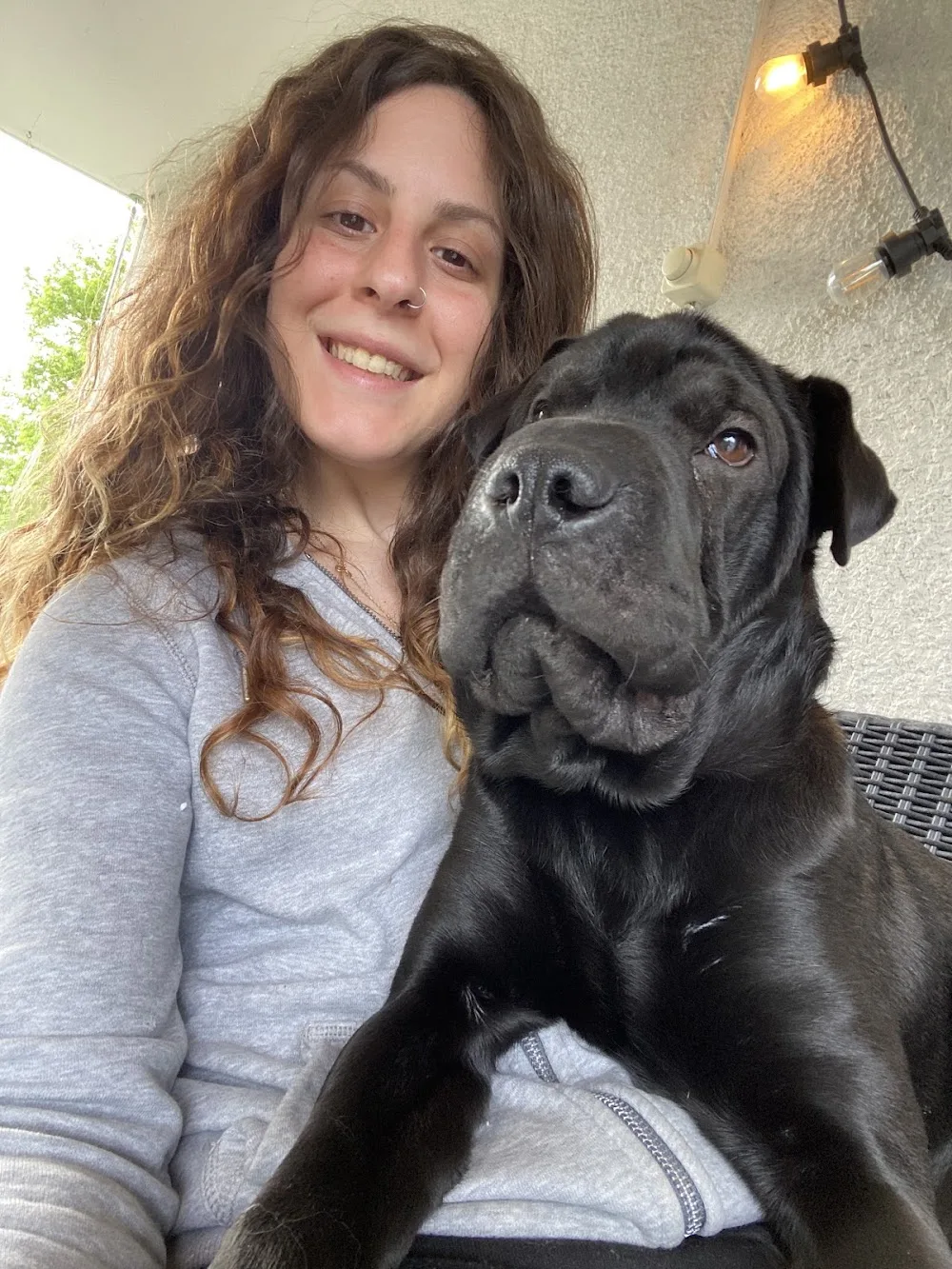 Betreuung Hund und Katze - Effretikon pet otel